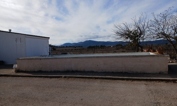 Sprzedaż - Nieruchomość jeździecka -
Monóvar