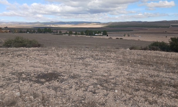 Resale - Grundstück Grundstück -
Yecla