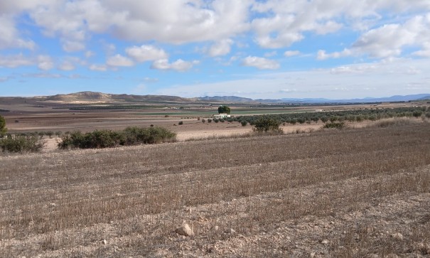 Resale - Grundstück Grundstück -
Yecla