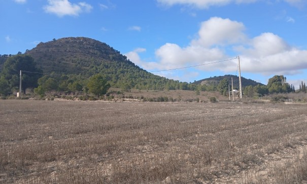 Resale - Grundstück Grundstück -
Yecla