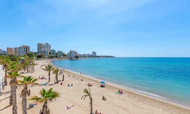 Venta - Apartamento piso -
Alicante