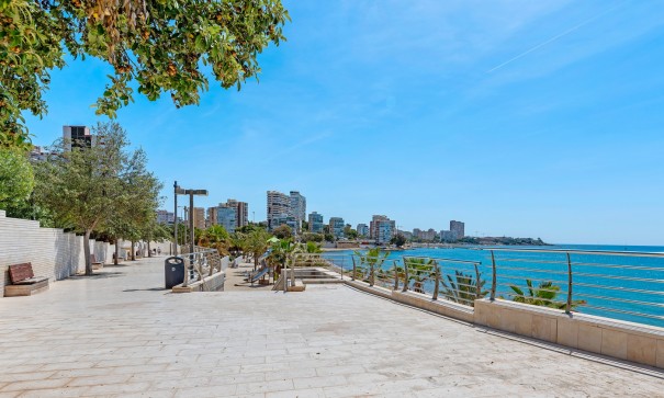 Venta - Apartamento piso -
Alicante