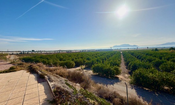 Sale - Finca Country Property -
Orihuela