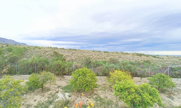 Återförsäljning - Fristående villa -
Albatera