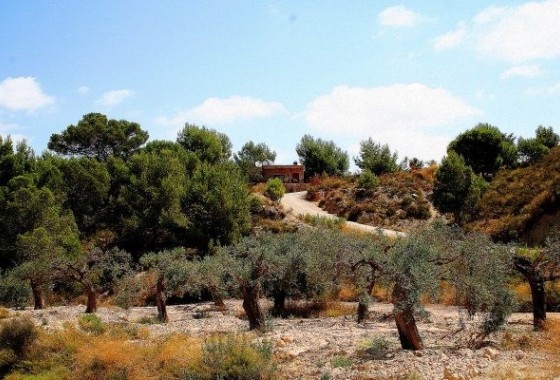 Venta - Finca / Casa de campo -
Murcia
