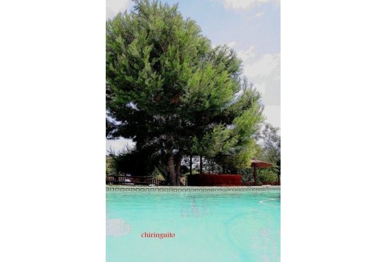 Venta - Finca / Casa de campo -
Murcia
