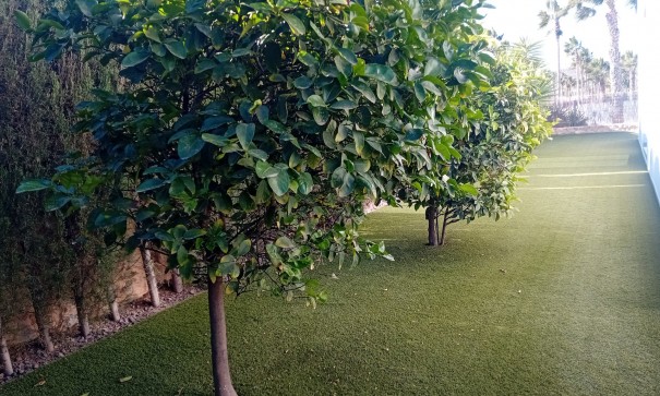 Resale - Freistehende Villa -
Algorfa - La Finca Golf