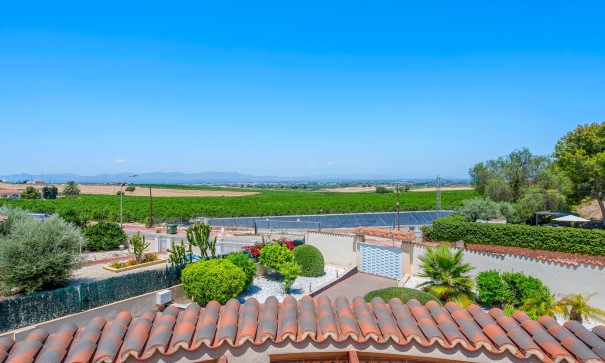 Resale - Freistehende Villa -
Algorfa - Lomas de la Juliana