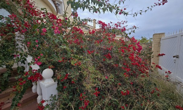 Sprzedaż - Willa wolnostojąca -
Monforte del Cid