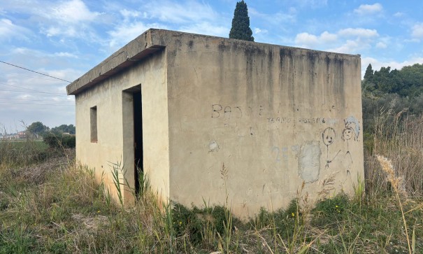 Finca Propiedad rural - Venta - Catral -
                Catral