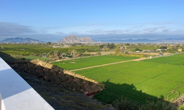 Resale - Wohnung Appartement -
Algorfa