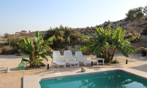 Sale - Detached Villa -
Fortuna