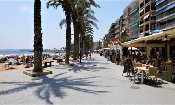 Venta - Comercial -
Torrevieja - Paseo maritimo