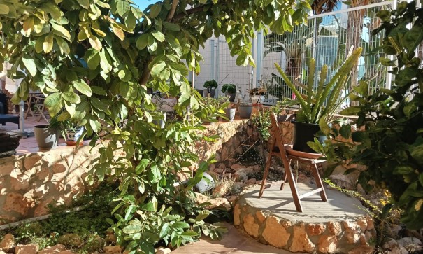 Venta - Apartamento piso -
Los Montesinos - La herrada