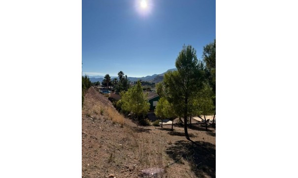 Videresalg -  -
Aledo