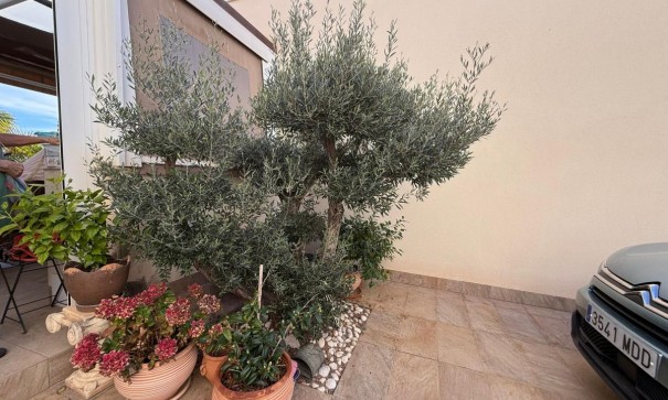 Sale - Detached Villa -
Los Montesinos