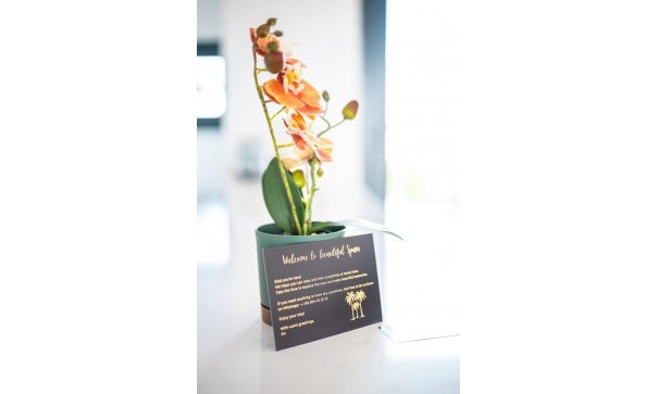 Sprzedaż - Apartament mieszkanie -
Pilar de la Horadada