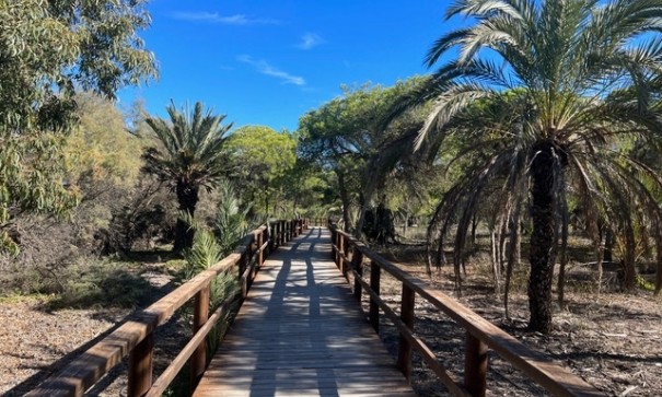 Venta - Apartamento piso -
Guardamar del Segura - Playa