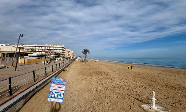 Venta - Apartamento piso -
Guardamar del Segura - Playa