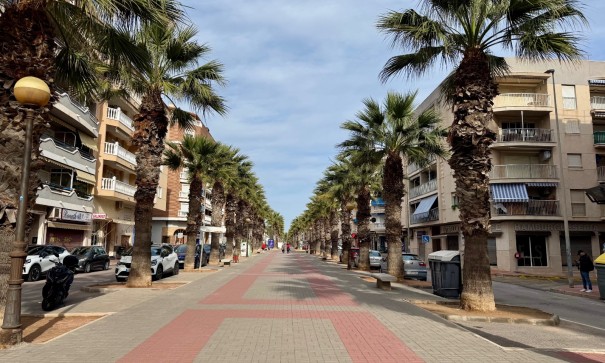 Venta - Apartamento piso -
Guardamar del Segura - Playa