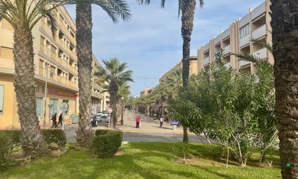 Venta - Apartamento piso -
Guardamar del Segura - Playa