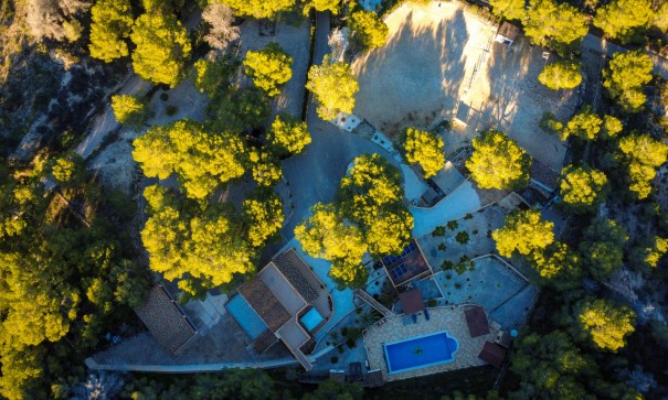 Revente - Finca Propriété rurale -
Torremendo