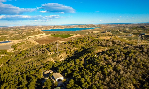 Revente - Finca Propriété rurale -
Torremendo