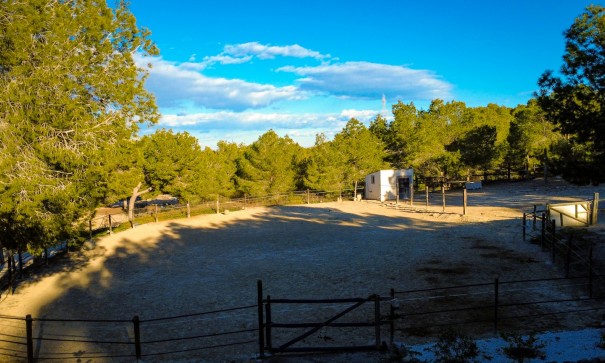Revente - Finca Propriété rurale -
Torremendo