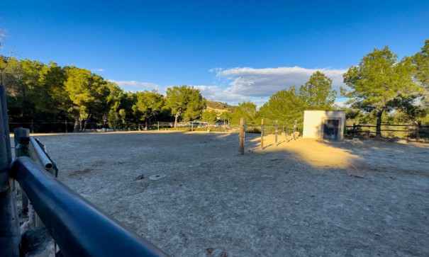 Revente - Finca Propriété rurale -
Torremendo