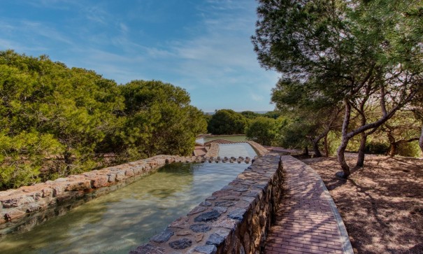 Återförsäljning - Lägenhet lägenhet -
Torrevieja - Torreblanca