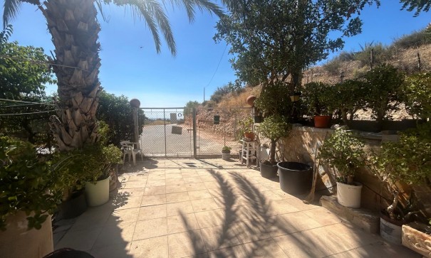 Venta - Finca Propiedad rural -
Crevillente