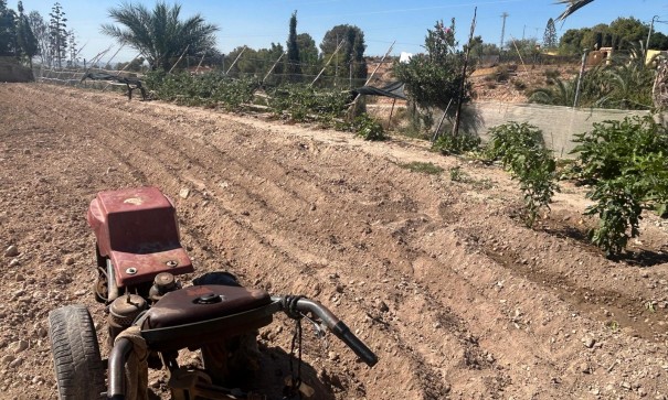 Venta - Finca Propiedad rural -
Crevillente