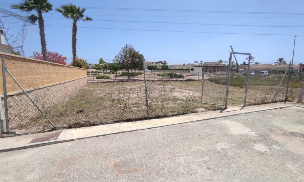 Revente - Parcelle Terrain -
La Marina - Oasis