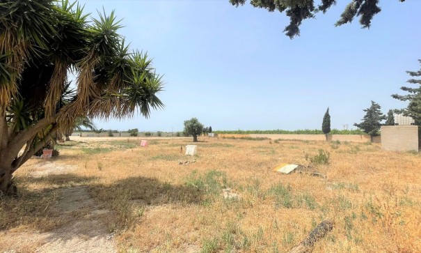 Videresalg - Kommerciel -
Balsicas - Torre Pacheco