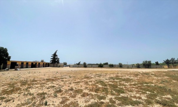 Videresalg - Kommerciel -
Balsicas - Torre Pacheco