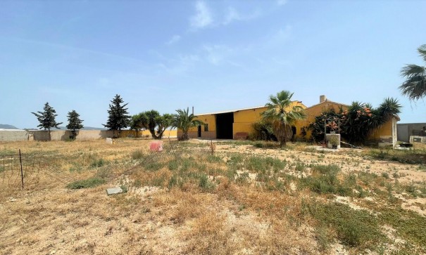 Videresalg - Kommerciel -
Balsicas - Torre Pacheco