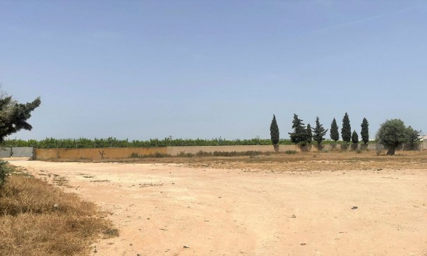 Videresalg - Kommerciel -
Balsicas - Torre Pacheco