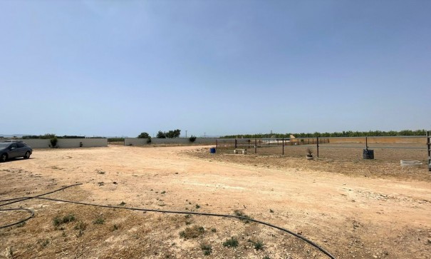 Videresalg - Kommerciel -
Balsicas - Torre Pacheco