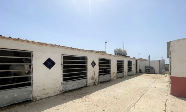 Videresalg - Kommerciel -
Balsicas - Torre Pacheco