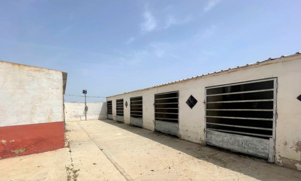 Videresalg - Kommerciel -
Balsicas - Torre Pacheco