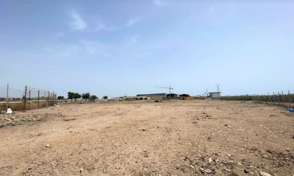 Videresalg - Kommerciel -
Balsicas - Torre Pacheco