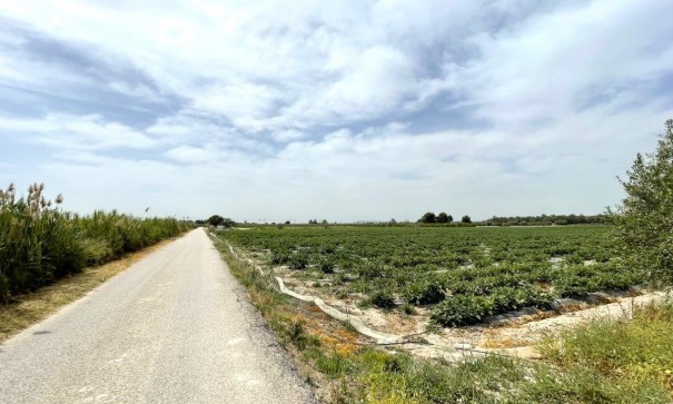 Videresalg - Grund Jord -
Albatera