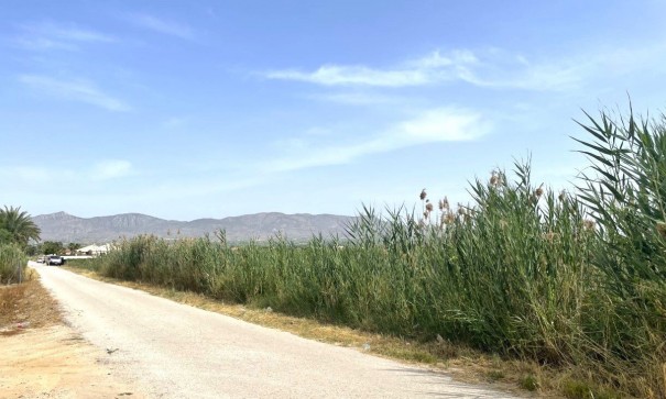 Videresalg - Grund Jord -
Albatera