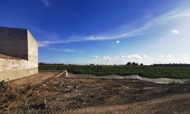 Videresalg - Grund Jord -
Albatera