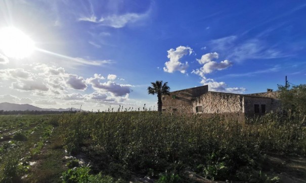 Videresalg - Grund Jord -
Albatera