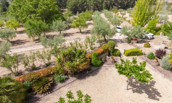 Sprzedaż - Willa wolnostojąca -
Ibi