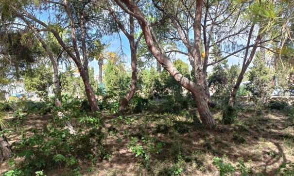 Videresalg - Grund Jord -
Cabo Roig