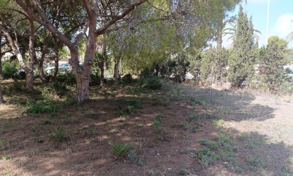 Videresalg - Grund Jord -
Cabo Roig