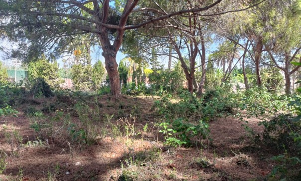 Videresalg - Grund Jord -
Cabo Roig