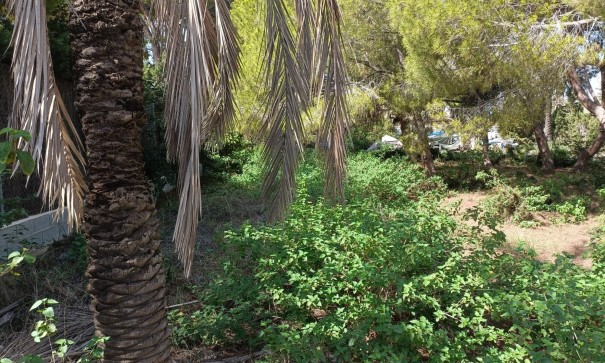 Videresalg - Grund Jord -
Cabo Roig